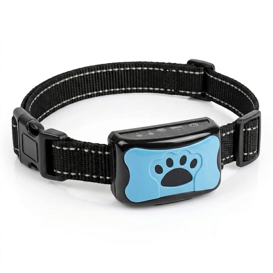 Collier Shopitter bleu avec sangle noire réglable